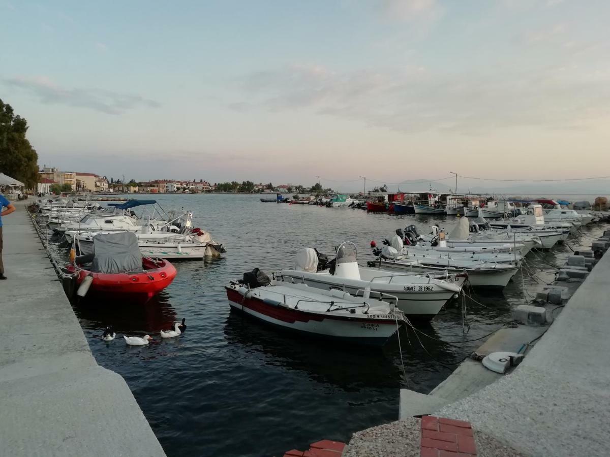 House With Dreamy View Volos 아기라 외부 사진